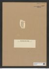 Diatomeae indet. Zeichnungen Sammlung Grunow Nr. 8229 (NHMW-BOT-W0377618)